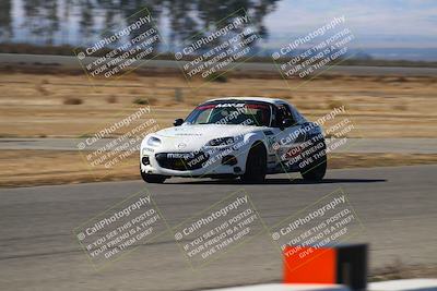 media/Nov-16-2024-CalClub SCCA (Sat) [[641f3b2761]]/Group 4/Grid and Front Straight/